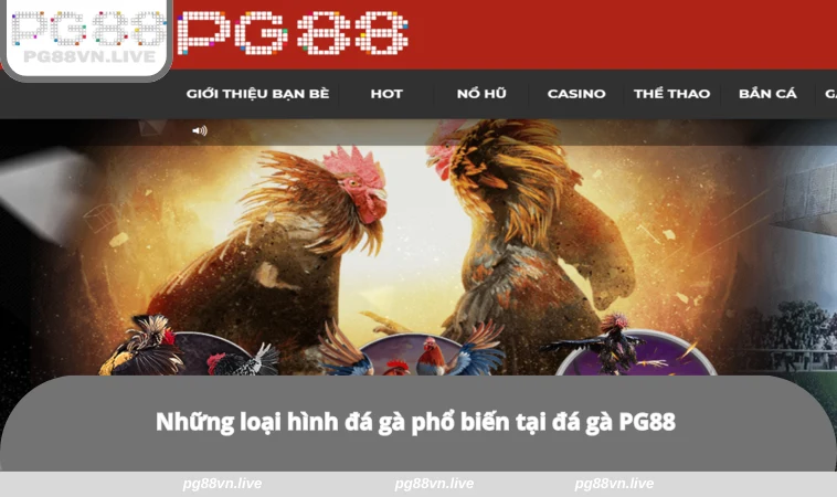 Đá Gà PG88 2 Những loại hình đá gà phổ biến tại đá gà PG88
